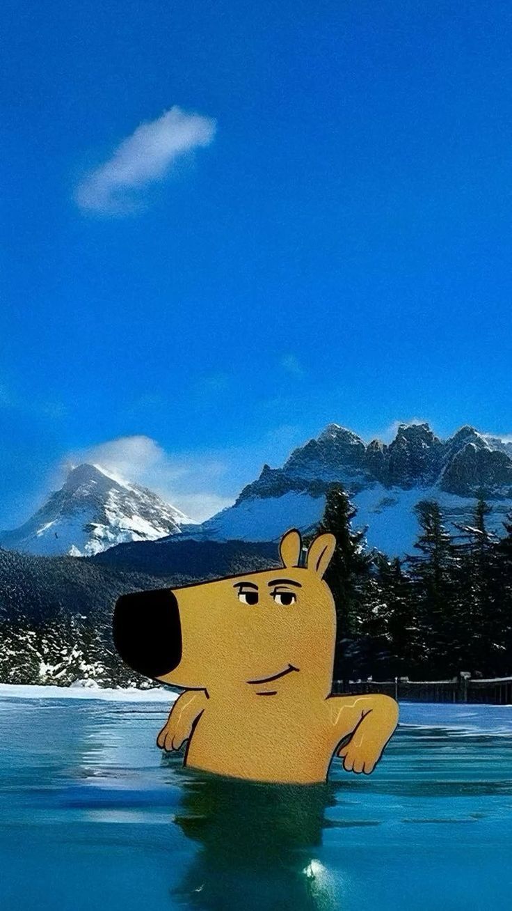 chill guy meme đi bơi