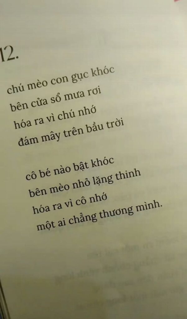 ảnh chill buồn của tuổi trẻ