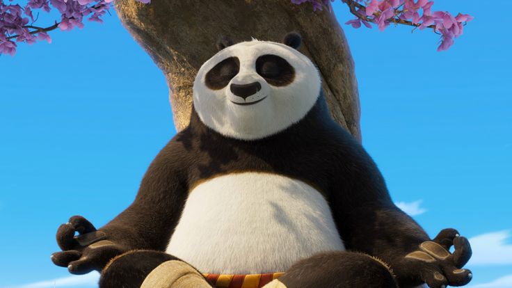 ảnh chill động vật cưng xỉu của gấu PO