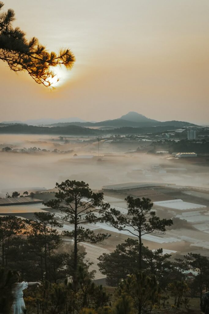 ảnh phong cảnh chill dalat mơ mộng ảnh phong cảnh chill dalat mơ mộng