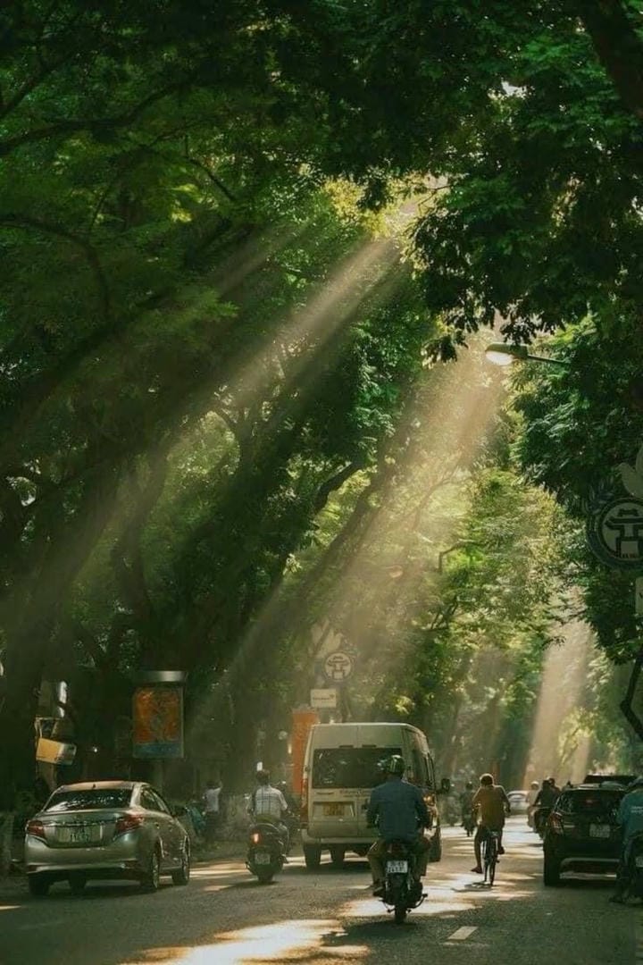 ảnh chill lofi đường phố