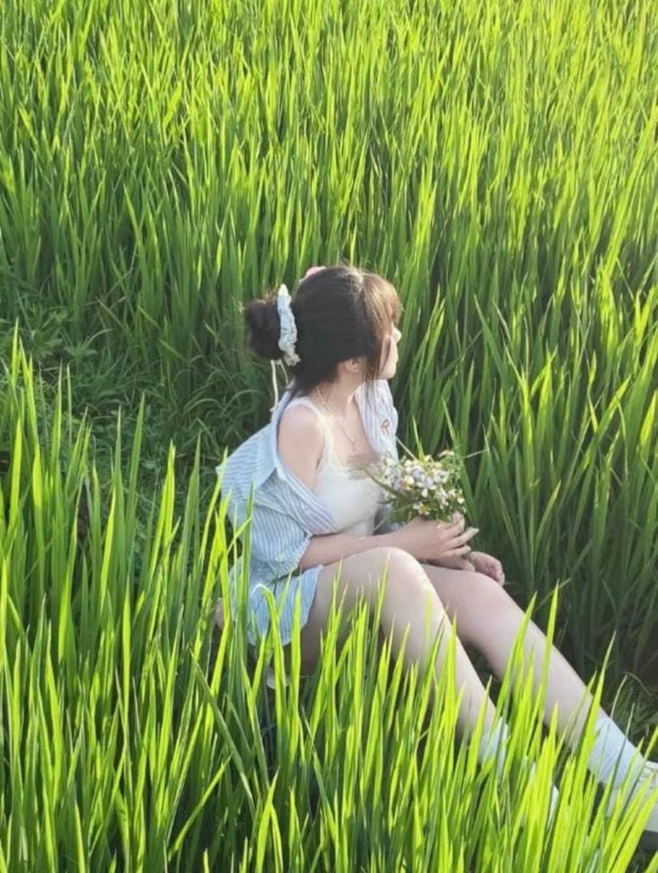 gai xinh che mat tren canh dong lua