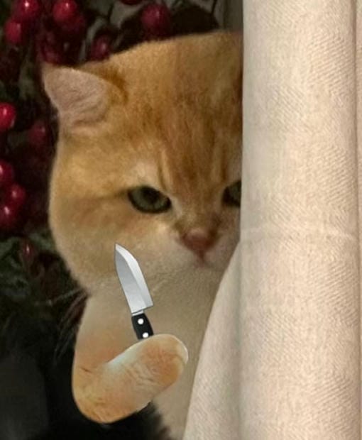 meme động vật cầm dao hài hước