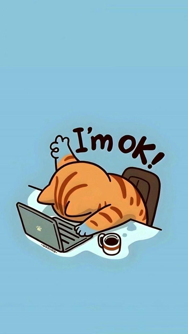 mèo chibi bất ổn