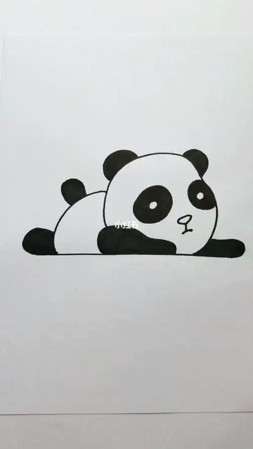 chú gấu con gục ngã